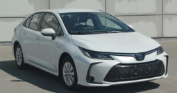 Авто прокат Toyota Corolla в Ташкенте