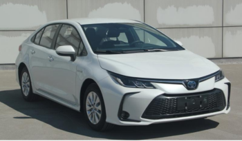Авто прокат Toyota Corolla в Ташкенте